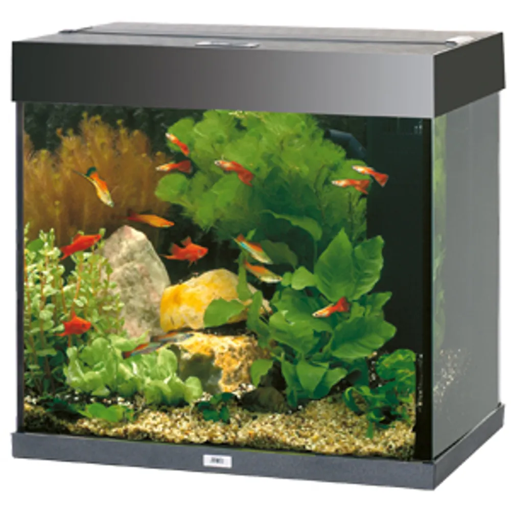 Juwel Akvarium Lido 120 Liter Sort 61x41x58 cm